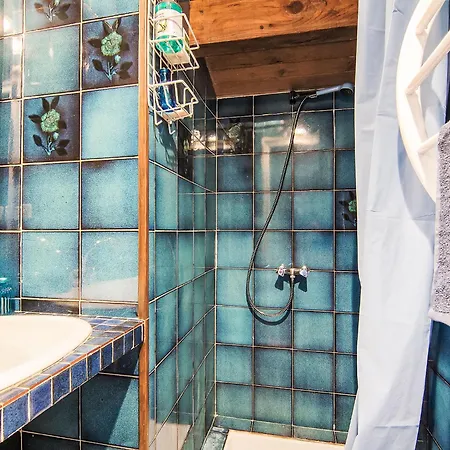 Faisans By Interhome Ondres